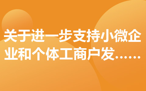 关于进一步支持小微企业和个体工商户发展有关税费政策的公告